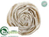 Silk Plants Direct Snow Rose - Beige White - Pack of 12