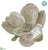 Velvet Magnolia With Clip - Gray Silver - Pack of 12