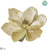 Velvet Magnolia With Clip - Vanilla Gold - Pack of 12