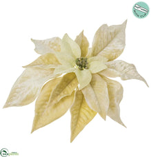 Velvet Poinsettia With Clip - Vanilla Gold - Pack of 12