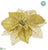 Glittered Sheer Poinsettia - Gold - Pack of 24
