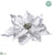 Velvet Poinsettia - White - Pack of 12