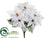 Poinsettia Bush - White - Pack of 12