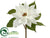 Poinsettia Spray - White White - Pack of 12