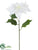 Poinsettia Spray - White - Pack of 12