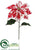 Poinsettia Spray - Peppermint - Pack of 12