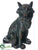 Fox - Black Whitewashed - Pack of 6