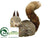 Squirrel - Brown Glittered - Pack of 4