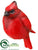 Cardinal - Red - Pack of 6