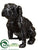 French Bulldog - Black - Pack of 2