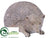 Hedgehog - Gray - Pack of 4