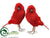 Cardinal - Red - Pack of 4