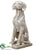 Dog - Whitewashed - Pack of 1