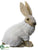 Sitting Bunny - Brown White - Pack of 4