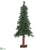 Pine Tree - Green - Pack of 1
