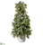 Iced Norway Spruce Topiary - Green White - Pack of 1
