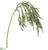 Iced Pine Hanging Spray - Green Ice - Pack of 12