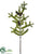 Spruce Pine Spray - Green - Pack of 12