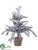 Pine Tree - White Green - Pack of 6