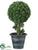 Cedar Ball Topiary - Green - Pack of 2