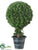 Cedar Ball Topiary - Green - Pack of 2