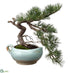 Silk Plants Direct Needle Pine Bonsai in Ceramic Pitcher - Green - Pack of 2