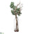 Ming Pine, Twig - Green Gray - Pack of 6