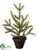 Pine Topiary - Green - Pack of 4