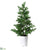 Juniper Tree - Green - Pack of 4