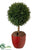 Cedar Ball Topiary - Green - Pack of 4