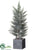 Pine Tree - Green Snow - Pack of 2