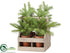 Silk Plants Direct Pine Tree - Green - Pack of 2