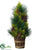 Pine Cone, Pine Cone Tree - Green Brown - Pack of 2
