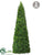 Cedar Cone Topiary - Green - Pack of 2