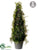 Iced Cedar Cone Topiary - Green - Pack of 2