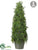 Iced Cedar Cone Topiary - Green - Pack of 2