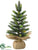 Pine Tree - Green - Pack of 12