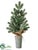 Iced Pine Tree - Green Ice - Pack of 2
