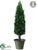 Cedar Topiary Cone - Green - Pack of 2