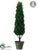 Cedar Topiary Cone - Green - Pack of 2