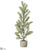 Pine Tree - Green Gray - Pack of 2