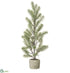 Silk Plants Direct Pine Tree - Green Gray - Pack of 2