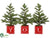 Mini Pine Tree - Green - Pack of 2