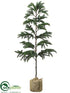 Silk Plants Direct Pine Tree - Green - Pack of 1