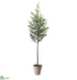 Silk Plants Direct Cedar Tree - Green - Pack of 2