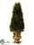 Cone Shaped Cypress Topiary - Green - Pack of 4