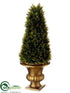 Silk Plants Direct Cone Shaped Cypress Topiary - Green - Pack of 4