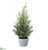 Cedar Tree - Green - Pack of 4