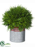 Silk Plants Direct Cedar Arrangement - Green - Pack of 1