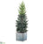 Snowed Pine Tree - Green White - Pack of 2